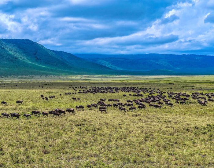 ngorongoro Twin peak3