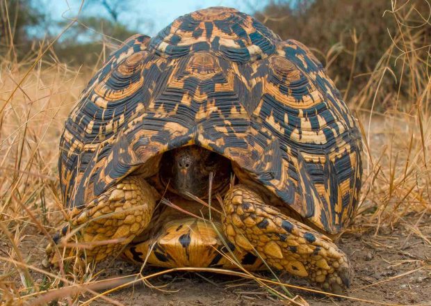 ngorongoro Twin peak34
