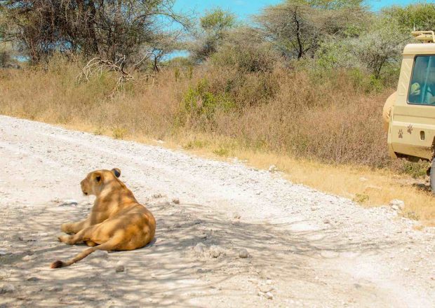 ngorongoro Twin peak35