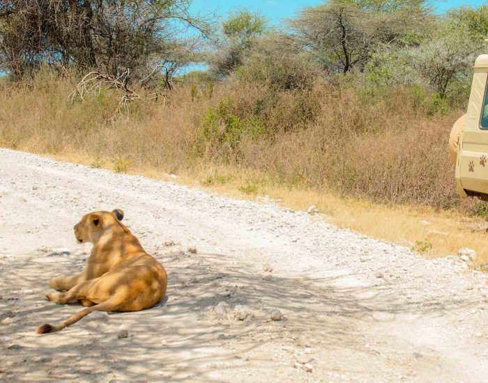 ngorongoro Twin peak35