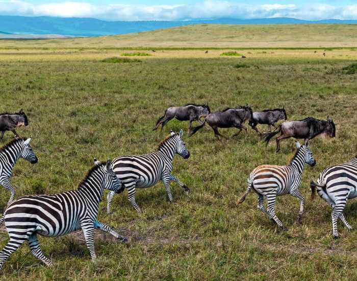 ngorongoro Twin peak5