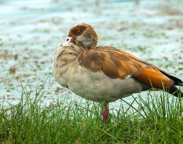 ngorongoro Twin peak8