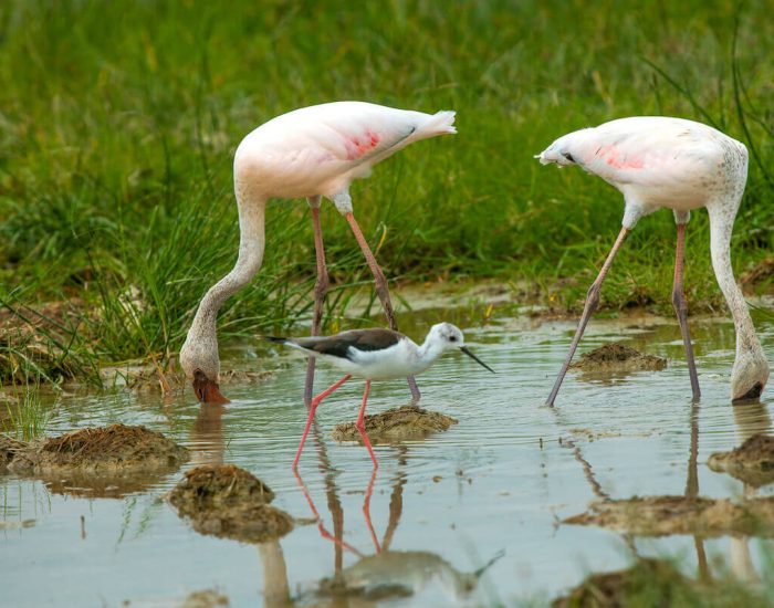 ngorongoro Twin peak9