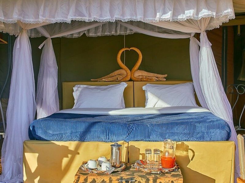 pamoja-migration-camp