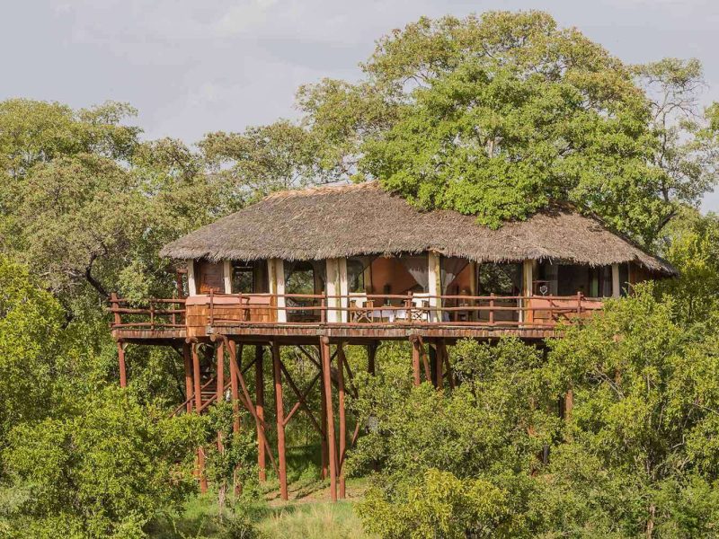 tarangire-treetops